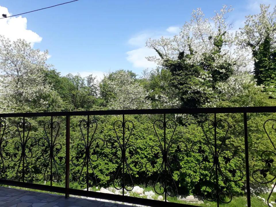 House At The Forest / Სახლი Ტყის Პირას Gordi Zewnętrze zdjęcie
