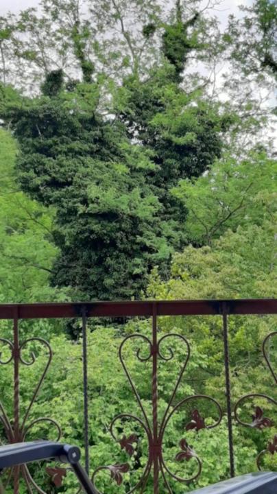 House At The Forest / Სახლი Ტყის Პირას Gordi Zewnętrze zdjęcie